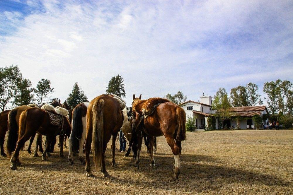 Finca Valentina El Encón Esterno foto
